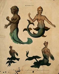 Sirènes -1817-copie-1