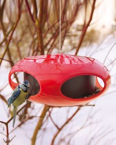 Mangeoire-oiseau-framboise-1.jpg