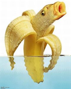 banane poisson