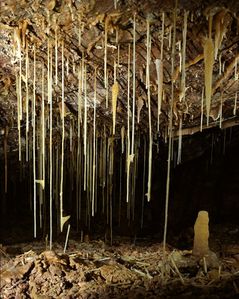 caverne-kartchner-arizona.jpg