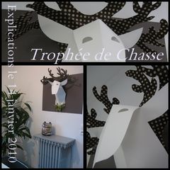 Trophée de chasse tuto