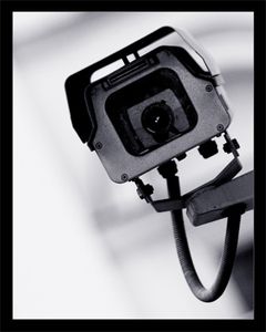 m_bigbrother_31194.jpg