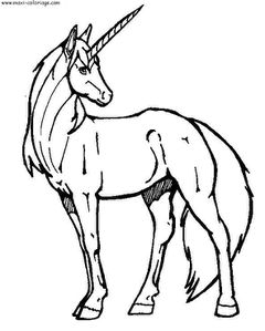 licorne4.jpg