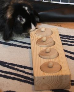 jouet einsteinchen 01