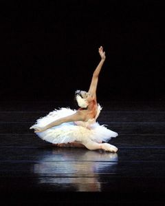 lopatkina_dying_swan2.jpg