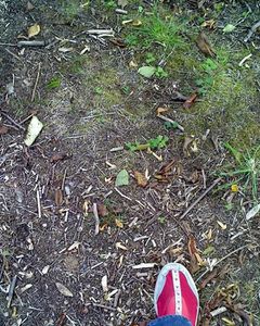 pas_2011_09_12.jpg