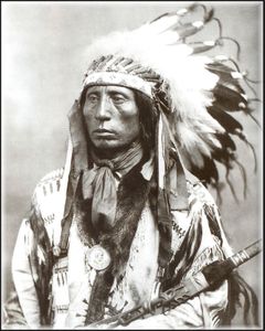 photo originale pour dessin d'indien chief jack red cloud