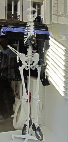 mannequin squelette 1
