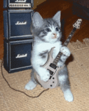 gato rockero-3338[1]