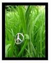 peace-herbe.jpg