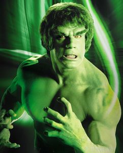 http://img.over-blog.com/242x300/4/03/48/76/Bill-Bixby/HULK-Ferrigno.jpg