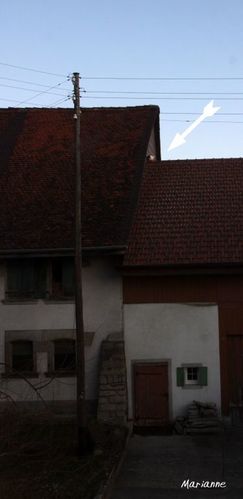 chat-perche1--1024x768-.jpg