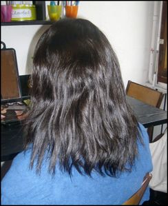 IMGP2528