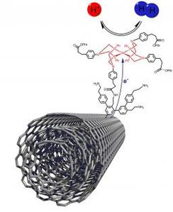 cat nanotube de carbone