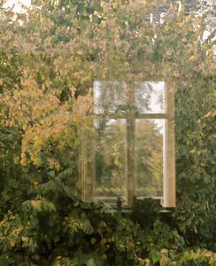 01112011-L-automne-a-ma-fenetre.jpg