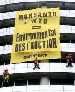 OGM-greenpeace.jpg