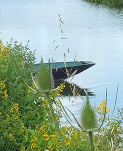 Coulon 5