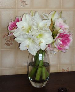 bouquet