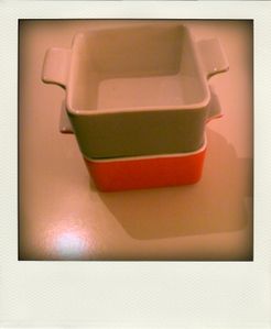 CIMG4973-pola