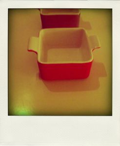 CIMG4976-pola