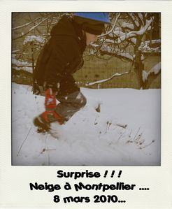 neige6-pola.jpg