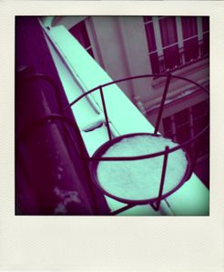 CIMG5136-pola.jpg