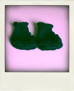 CIMG5163-pola.jpg