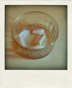 CIMG5167-pola.jpg