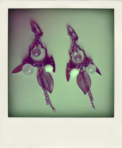 CIMG5175-pola.jpg