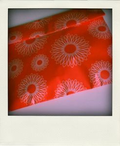 CIMG5197-pola