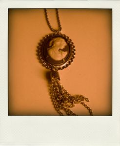 CIMG5201-pola