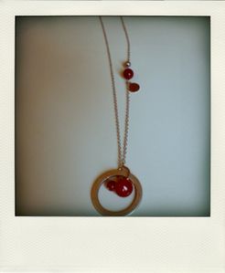 CIMG5206-pola
