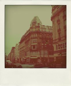 CIMG5239-pola