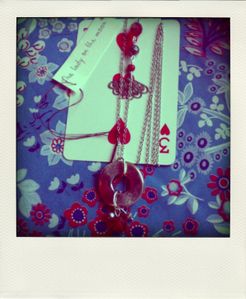 CIMG5285-pola.jpg