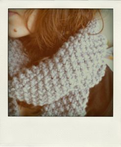 CIMG5353-pola