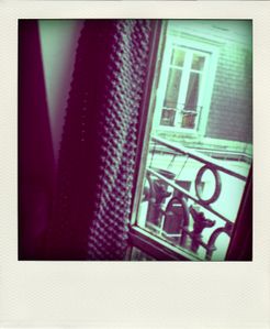 CIMG5362-pola.jpg
