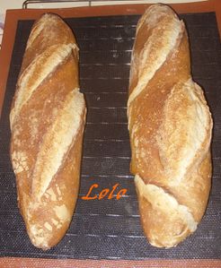 avoinep2.jpg