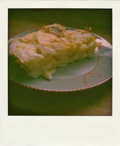 012-copie-2-pola