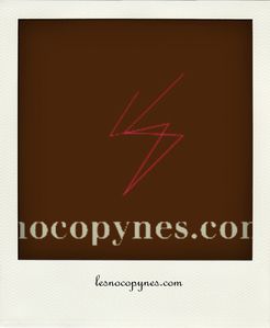 logo_nocopynes-pola.jpg