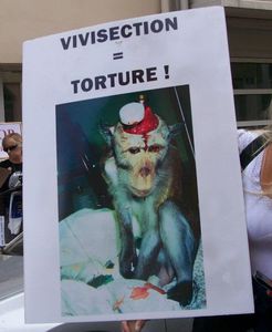 004 affiche singe vvtorture