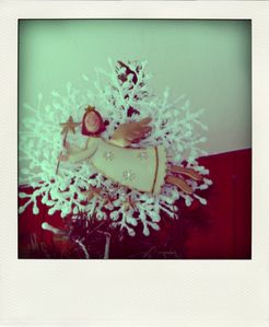 P1040497-pola.jpg