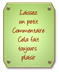617785commentaire