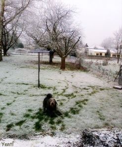 Shad 2 Jardin Pascale 1-1-2009