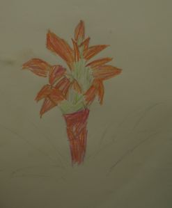 0129-copie-1.jpg