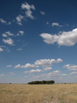 Botswana-5944.jpg
