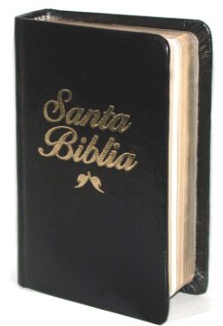 Biblia Reina Valera 1960 Pdf En Espaol