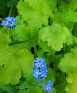 bleu-et-jaune2-mai.jpg