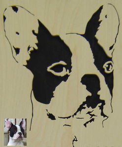 bouledogue-francais-C_Carl.JPG