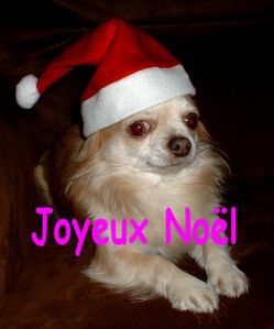 Santoh-de-Noel.jpg