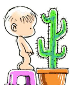 Bebe-Cactus.jpg